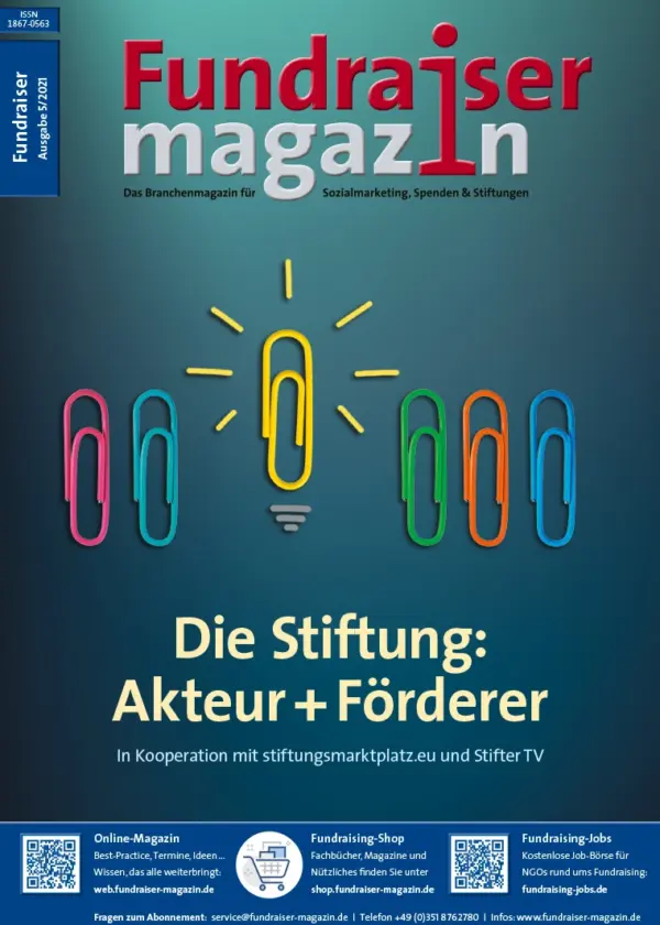 Die Stiftung: Akteur und Förderer